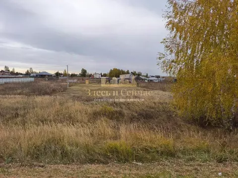 Участок в Татарстан, Лаишевский район, Никольское с/пос, д. Пиголи  ...