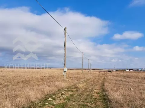 Участок в Крым, Черноморский район, Оленевское с/пос, с. Оленевка  ...