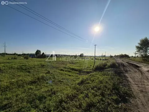 Участок в Бессоновский район, посёлок Подлесный (33 м)