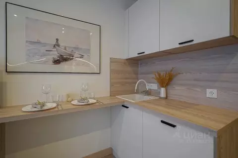 Студия Москва просп. Андропова, 10 (21.0 м)