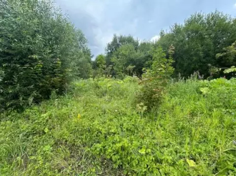 Участок в Московская область, Коломна городской округ, д. Каблучки  ...