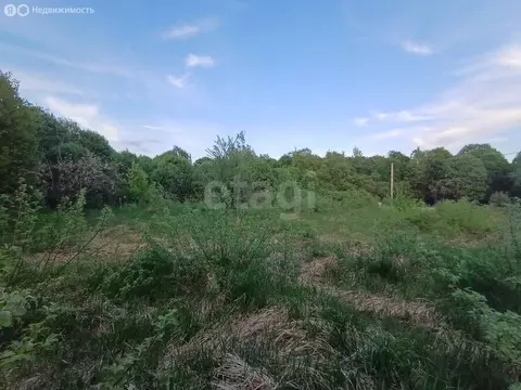 Участок в Сергиево-Посадский городской округ, село Кучки (10.7 м)