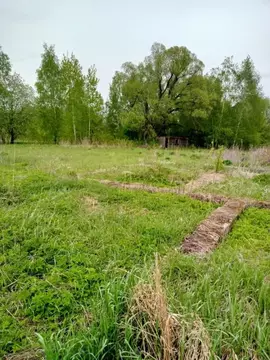 Участок в Московская область, Воскресенск городской округ, Имени ...