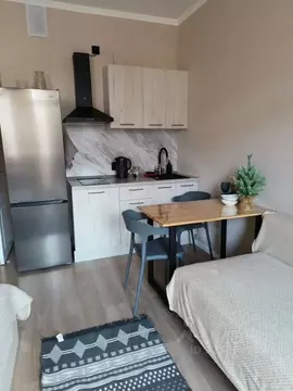 Студия Санкт-Петербург пос. Стрельна, просп. Буденного, 24к4 (27.0 м)