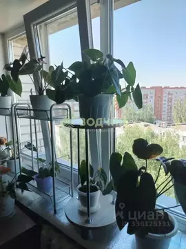 1-к кв. Чувашия, Чебоксары просп. Мира, 94 (34.2 м)