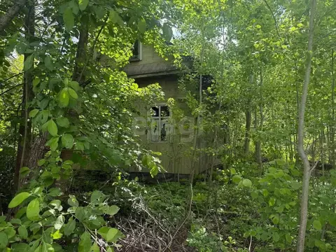 Участок в Ленинградская область, Волховский район, Кисельнинское ...