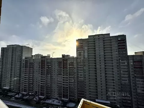 2-к кв. Воронежская область, Воронеж Троицкий кв-л, Олимпийский ...