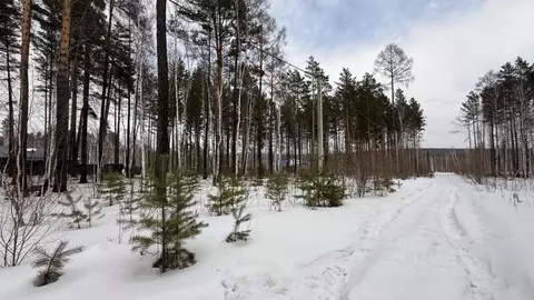 Участок в Иркутская область, Шелеховский район, Большелугское ...