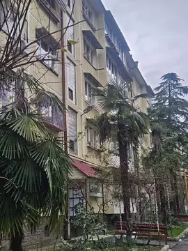 1-к кв. Краснодарский край, Сочи Туапсинская ул., 17 (32.0 м)