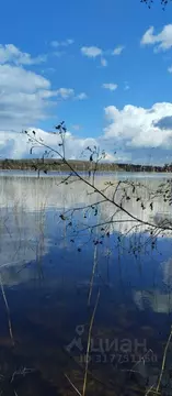 Участок в Тверская область, Осташковский муниципальный округ, д. Новые ...