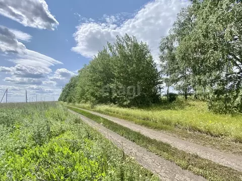 Участок в Тамбовская область, Тамбовский муниципальный округ, пос. ...
