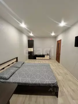 1-к кв. Амурская область, Благовещенск Политехническая ул., 109 (33.9 ...