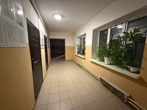 Офис в Татарстан, Казань ул. Восстания, 84 (16 м)