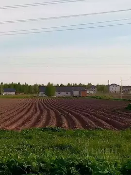 Участок в Новгородская область, Новгородский район, Бронницкое с/пос, ...