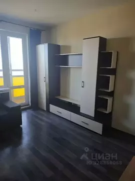 Студия Санкт-Петербург пос. Шушары, просп. Старорусский, 13к1 (20.0 м)