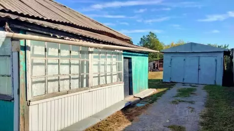 Дом в Белгородская область, Вейделевка рп ул. Мира, 5 (88 м)