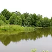 Участок в Нижегородская область, Дальнеконстантиновский муниципальный ...