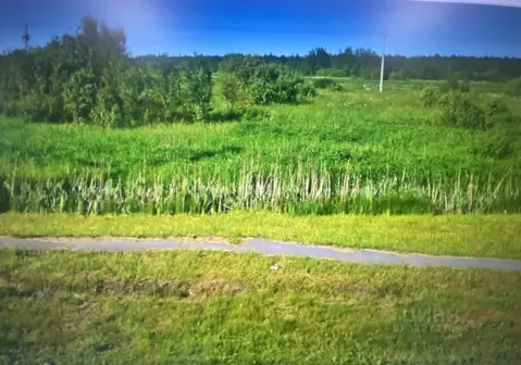 Участок в Новгородская область, Чудовский район, Успенское с/пос, д. ...