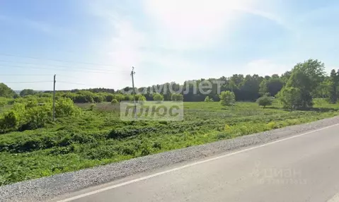 Участок в Новосибирская область, Искитимский район, с. Морозово  (6.0 ...