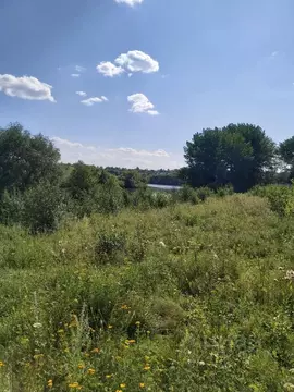 Участок в Тульская область, Новомосковск городской округ, д. Большие ...