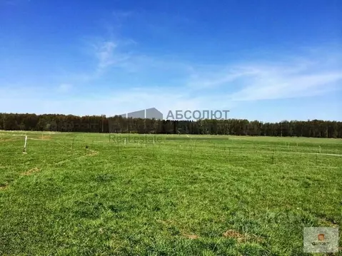 Участок в Новгородская область, Новгородский район, Ермолинское с/пос, ...