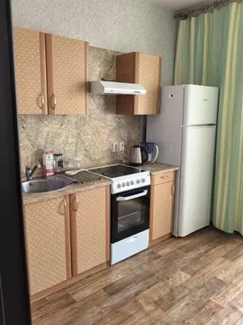 1-к кв. Санкт-Петербург дор. Кушелевская, 3к1 (38.2 м)