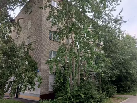 1-к кв. Московская область, Ногинск Богородский городской округ, ул. ...