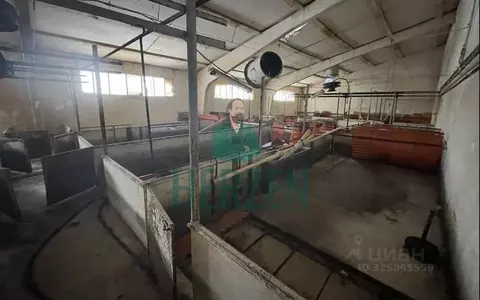 Производственное помещение в Москва д. Кузнецово,  (24000 м)