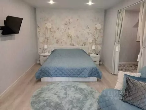 1-к кв. Псковская область, Псков Ольгинская наб., 9 (44.0 м)