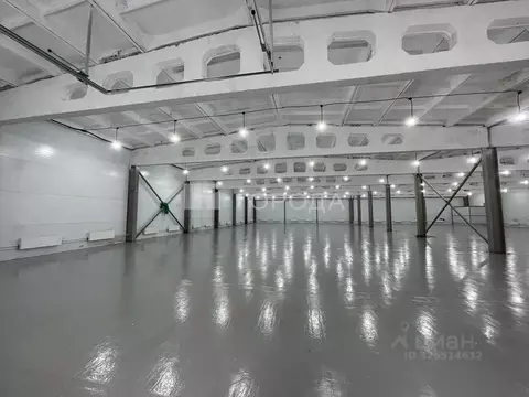 Производственное помещение в Новосибирская область, Новосибирский ...