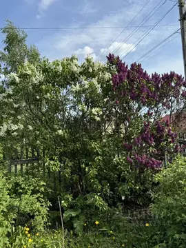 Дом в Татарстан, Лаишевский район, Большекабанское с/пос, с. Большие ...