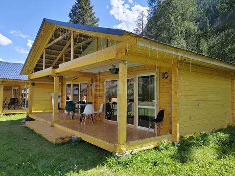 Участок в Алтай, Улаганский район, с. Чибит  (49.91 сот.)