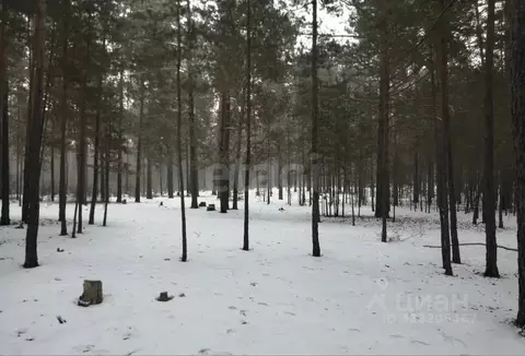 Участок в Забайкальский край, Читинский район, Металлург СНТ  (95.0 ...