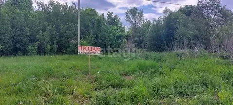 Участок в Воронежская область, Рамонский район, Березовское с/пос, с. ...