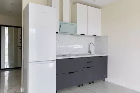 Студия Ленинградская область, Мурино Всеволожский район, ул. Шувалова, ...