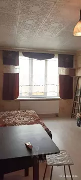 Студия Ленинградская область, Мурино Всеволожский район, ул. Шоссе в ...