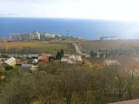 Участок в Крым, Ялта муниципальный округ, Восход пгт  (3.8 сот.)