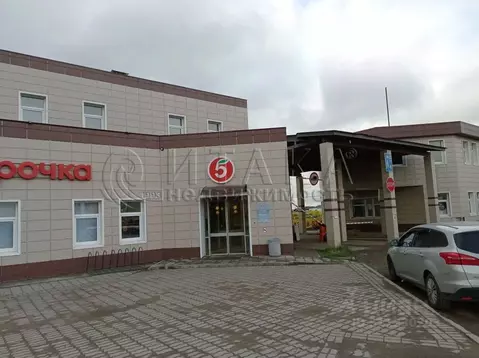 Помещение свободного назначения в Ленинградская область, Всеволожский ...