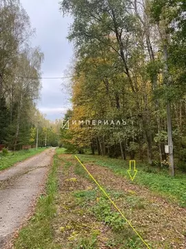 Участок в Калужская область, Жуковский муниципальный округ, Истье ...