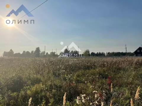 Участок в Вологодская область, с. Кубенское  (15.7 сот.)