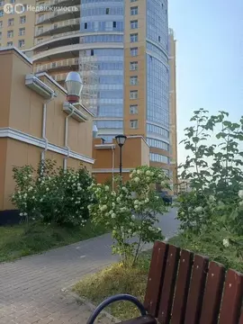 1-комнатная квартира: Санкт-Петербург, проспект Просвещения, 43 (43.2 ...