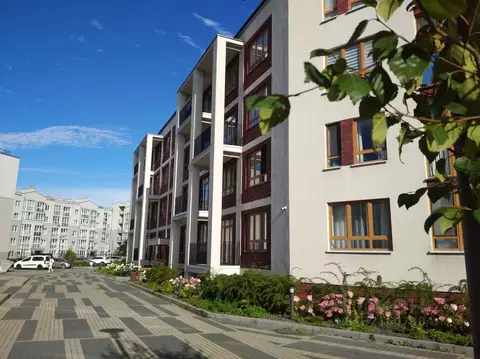 Студия Калининградская область, Пионерский Октябрьская ул., 6Б (19.0 ...