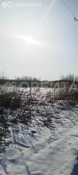 Участок в Тюмень, садовое товарищество Ясень (7.5 м)