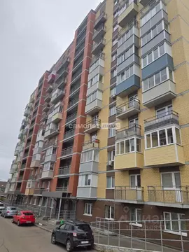 Студия Московская область, Ногинск Богородский городской округ, ул. ...