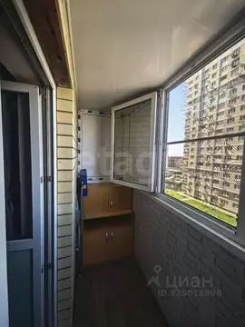 Студия Ростовская область, Батайск ул. Половинко, 280/10к1 (24.0 м)