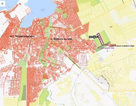 Участок в Крым, Черноморский район, с. Новосельское  (100.0 сот.)