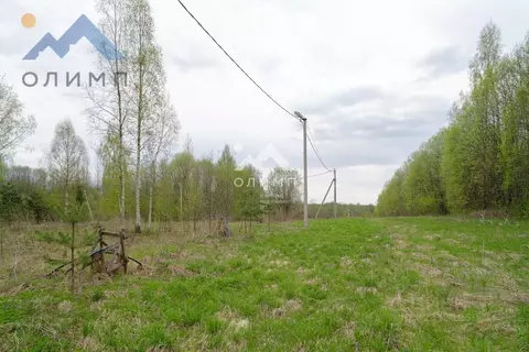 Участок в Вологодская область, Шекснинский муниципальный округ, ...