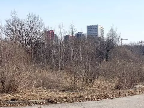 Участок в Хабаровский край, Хабаровск Тихоокеанская ул., 153 (59.1 ...