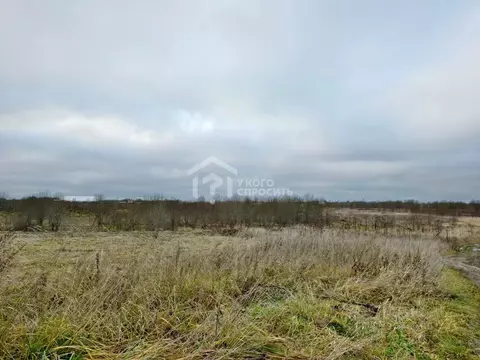 Участок в Ленинградская область, Ломоносовский район, Ропшинское ...