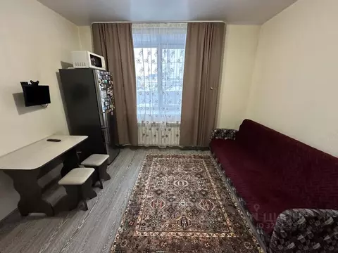 1-к кв. Алтайский край, Барнаул ул. Чехова, 20 (20.0 м)